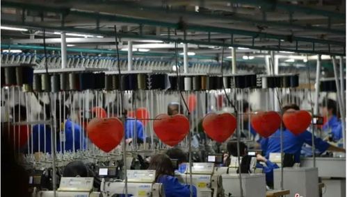 探访红领 国际顶级品牌制造基地的管理与文化之道