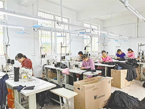 小小服装厂，产品销海外 一家乡镇企业的全球化之路